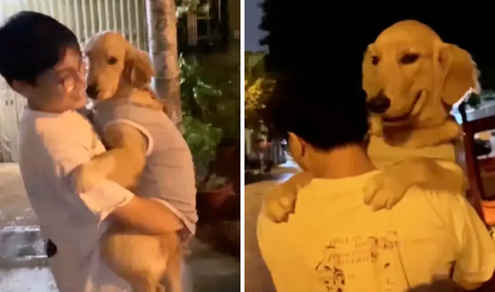 Desliza las imágenes para apreciar la tierna escena que protagonizó un joven junto a su perro durante un paseo. Foto: captura de YouTube Desliza las imágenes para apreciar la tierna escena que protagonizó un joven junto a su perro durante un paseo. Foto: captura de YouTube