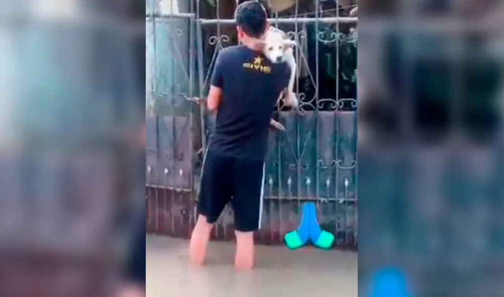Desliza las imágenes hacia la izquierda para ver el solidario gesto de un joven con un perrito atrapado durante las inundaciones. Foto: TikTok