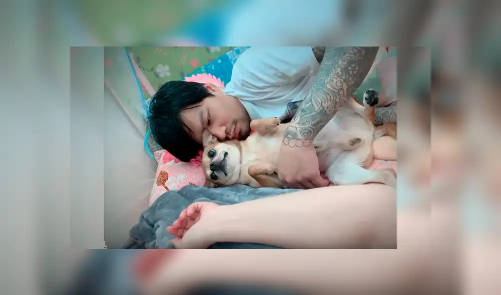 Video es viral en YouTube. Mujer grabó el agresivo comportamiento del perro cada vez que su esposo intentaba tocarla mientras dormía con los dos Video es viral en YouTube. Mujer grabó el agresivo comportamiento del perro cada vez que su esposo intentaba tocarla mientras dormía con los dos