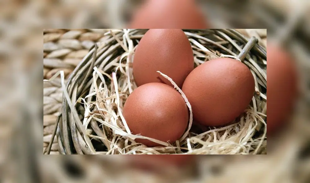 ¿Cuánto tiempo se puede conservar un huevo? Foto: Pixabay.