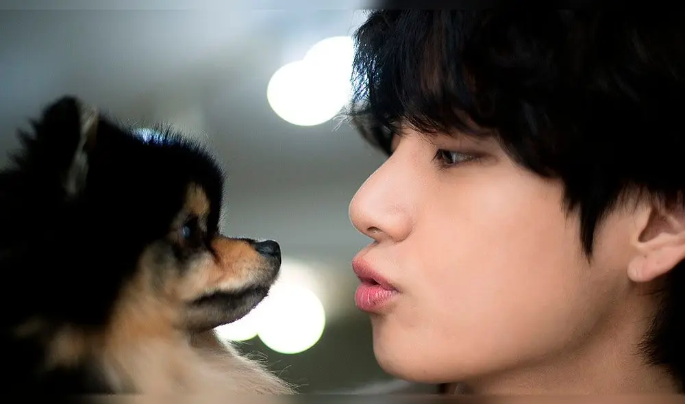 Taehyung posa junto a Yeontan para Naver x Dispatch