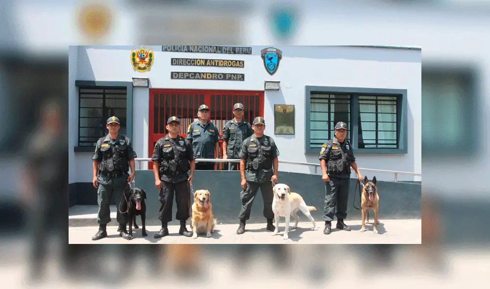 Policía canina Policía canina