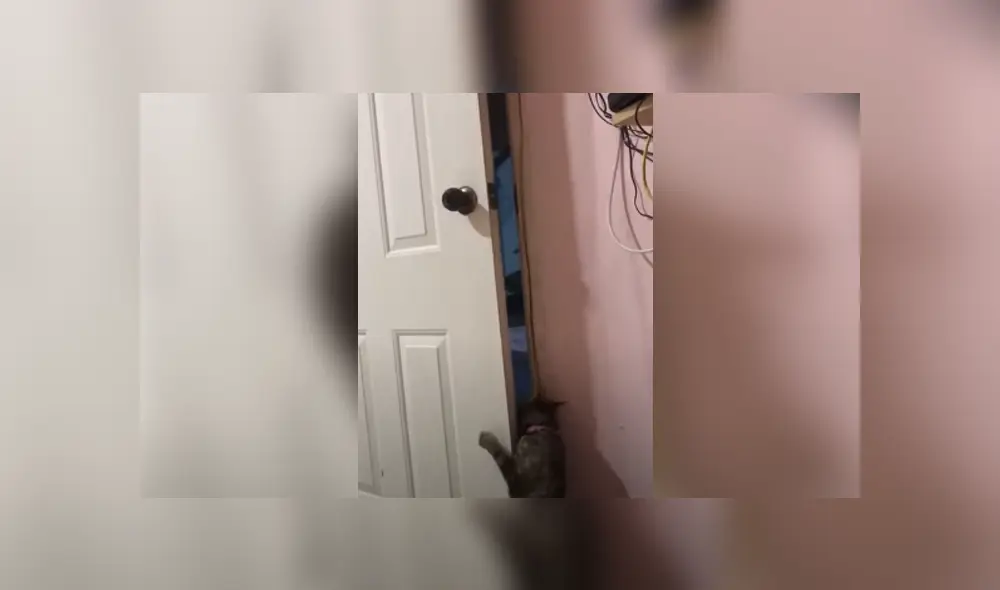 Desliza hacia la izquierda para ver las imágenes del viral de Facebook. Foto: Captura. Desliza hacia la izquierda para ver las imágenes del viral de Facebook. Foto: Captura.