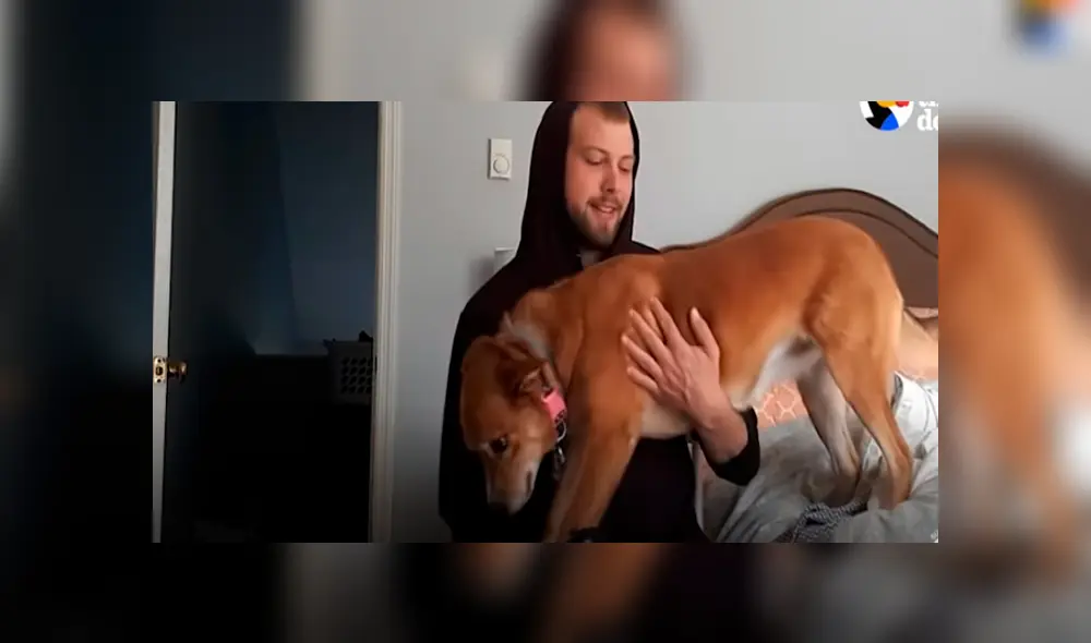 Desliza hacia la izquierda para ver las imágenes del video viral de Facebook.