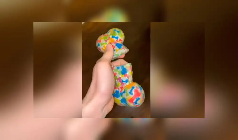 Desliza las imágenes para ver la furiosa reacción que tuvo un perro al ver su juguete favorito destruido. Foto: ViralHog Desliza las imágenes para ver la furiosa reacción que tuvo un perro al ver su juguete favorito destruido. Foto: ViralHog