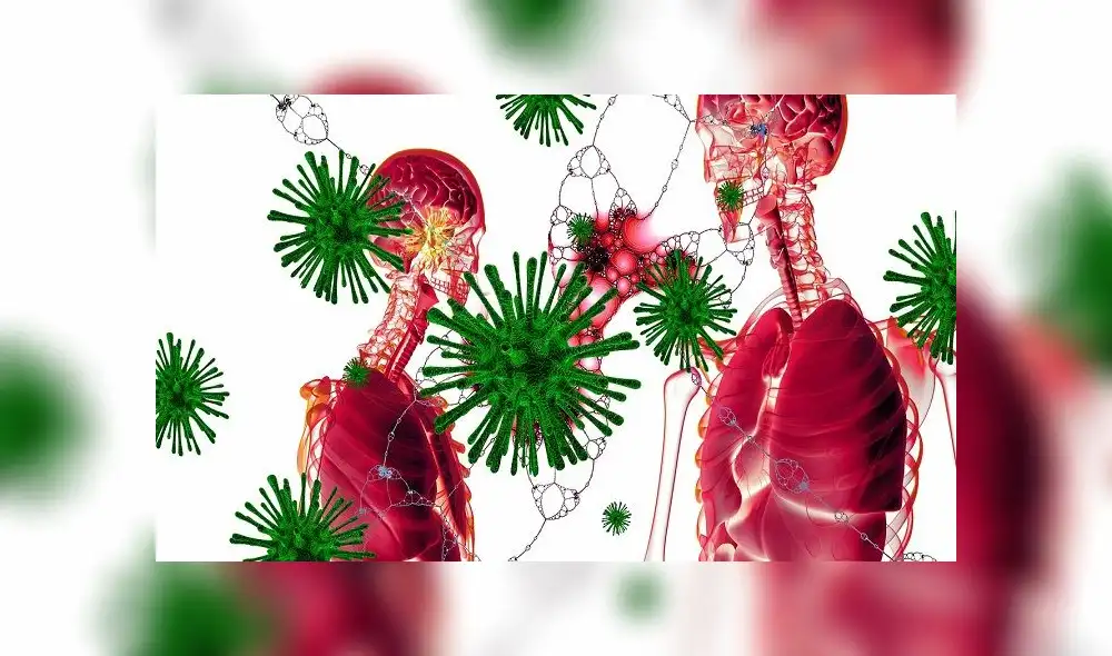 Los científicos indagan cada vez más sobre la composición del virus SARS-CoV-2. Foto: Pixabay Los científicos indagan cada vez más sobre la composición del virus SARS-CoV-2. Foto: Pixabay