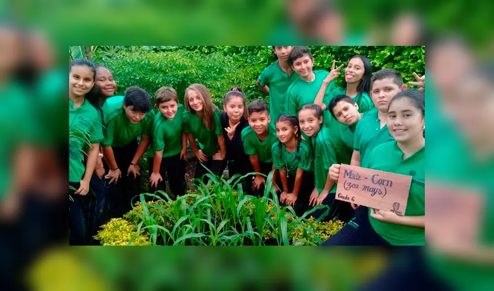 Frases para reflexionar por el Día Mundial del Medio Ambiente