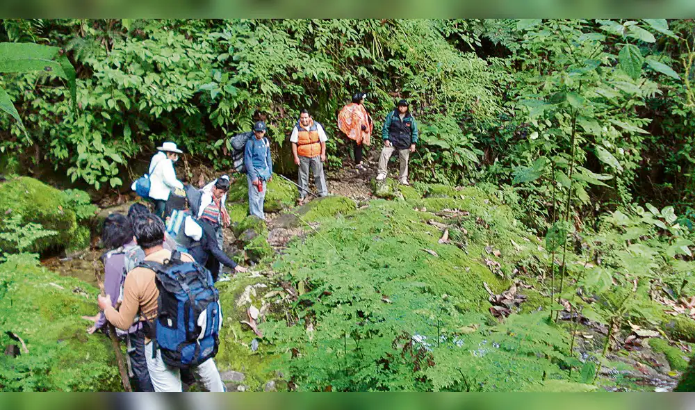 Ley que amenaza selva de Ucayali se aprobó sin opiniones técnicas Ley que amenaza selva de Ucayali se aprobó sin opiniones técnicas