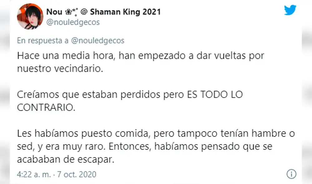 Desliza las imágenes para conocer la historia de unos tres loros bautizados como el "escuadrón de liberación”. Foto: Twitter Desliza las imágenes para conocer la historia de unos tres loros bautizados como el "escuadrón de liberación”. Foto: Twitter