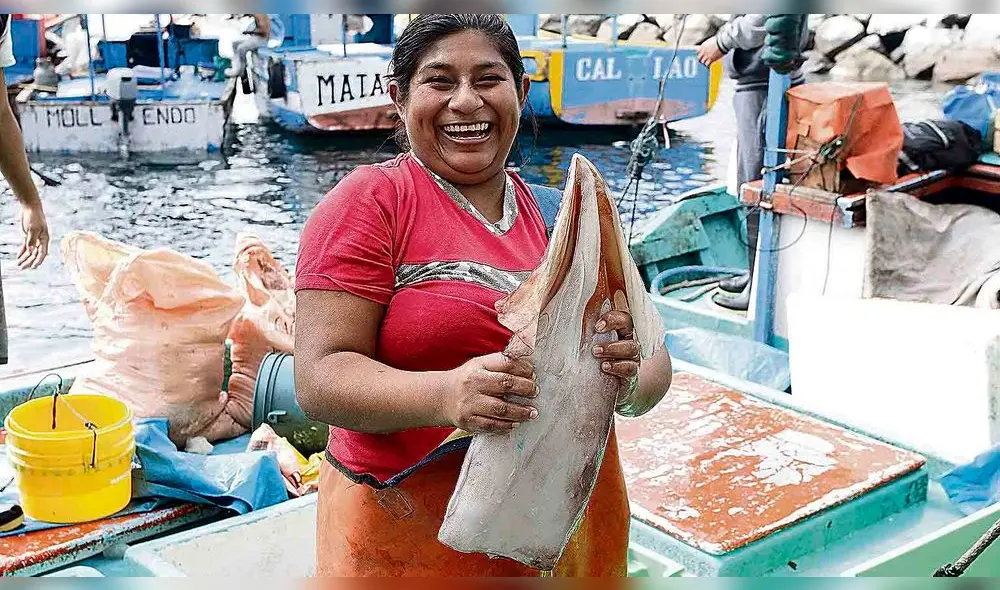 PESCADORES MATARANI PESCADORES MATARANI