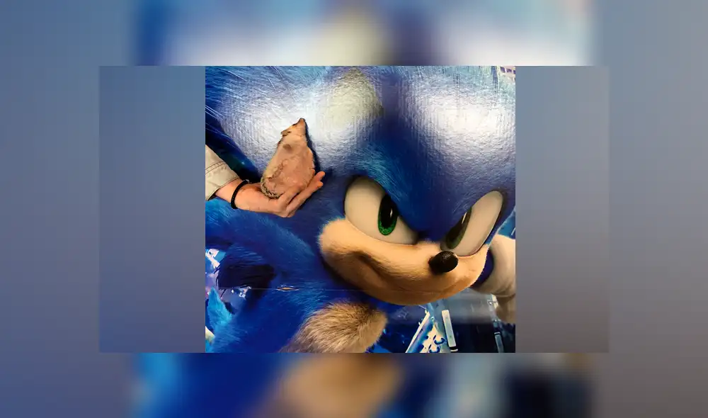 Desliza a la izquierda para ver las divertidas fotos entre Bandit y Sonic. (Foto: Facebook)