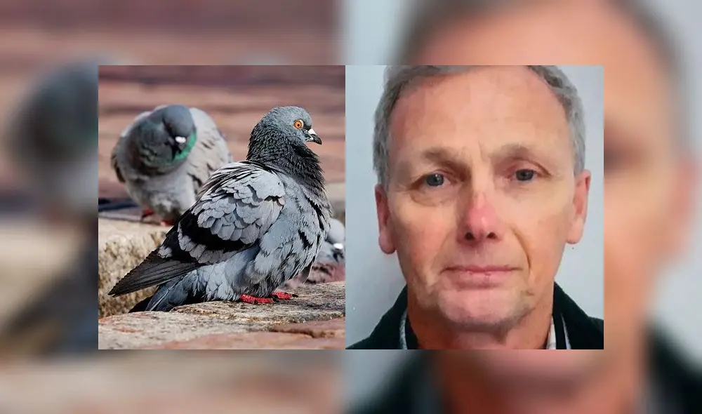 Tom Jones de Reino Unido Tom Jones de Reino Unido