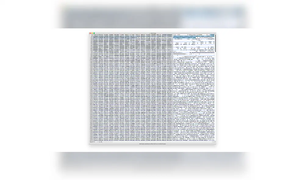 Códigos identificados por Edin Jusupovic, programador experto en ciberseguridad.
