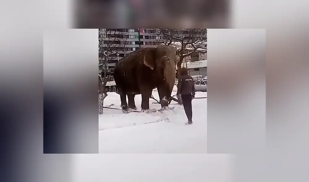 Desliza para ver los momentos más sorprendentes del video que se hizo viral en YouTube. Desliza para ver los momentos más sorprendentes del video que se hizo viral en YouTube.