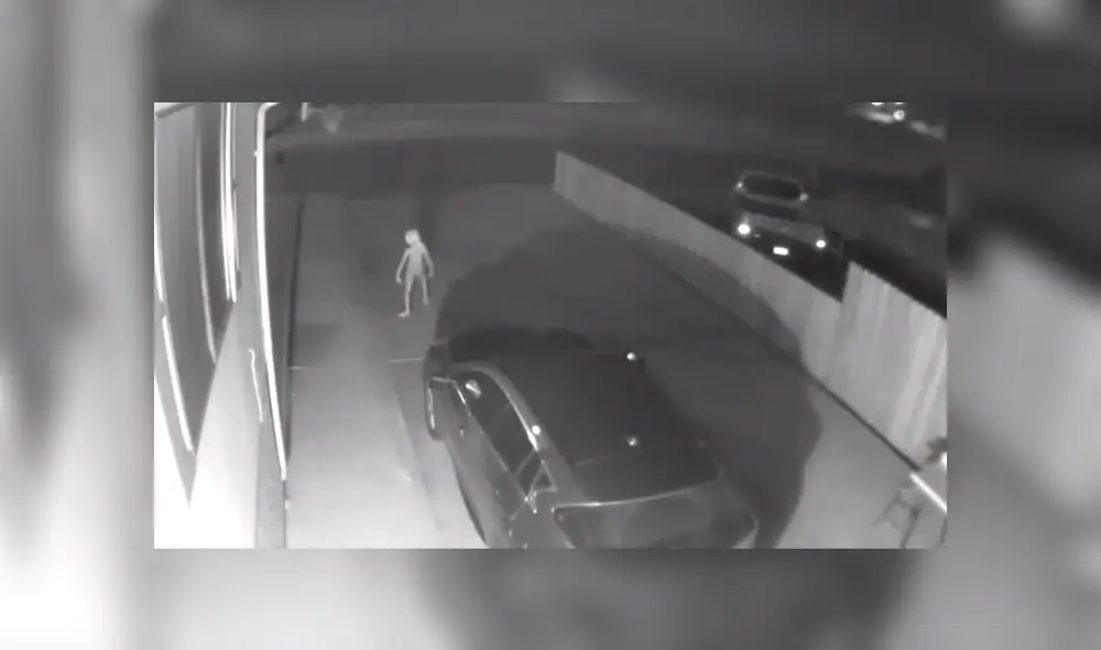 Facebook viral: Terrorífica criatura genera pánico tras ser captada por cámara de seguridad [VIDEO]