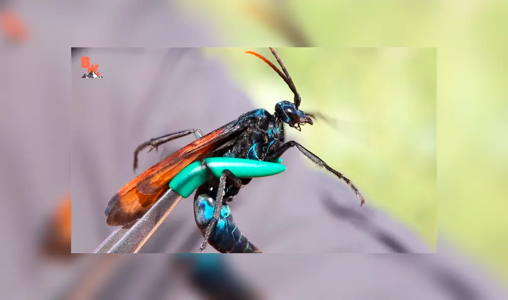 Desliza para ver los momento más importantes del impactante video que se hizo viral en YouTube.