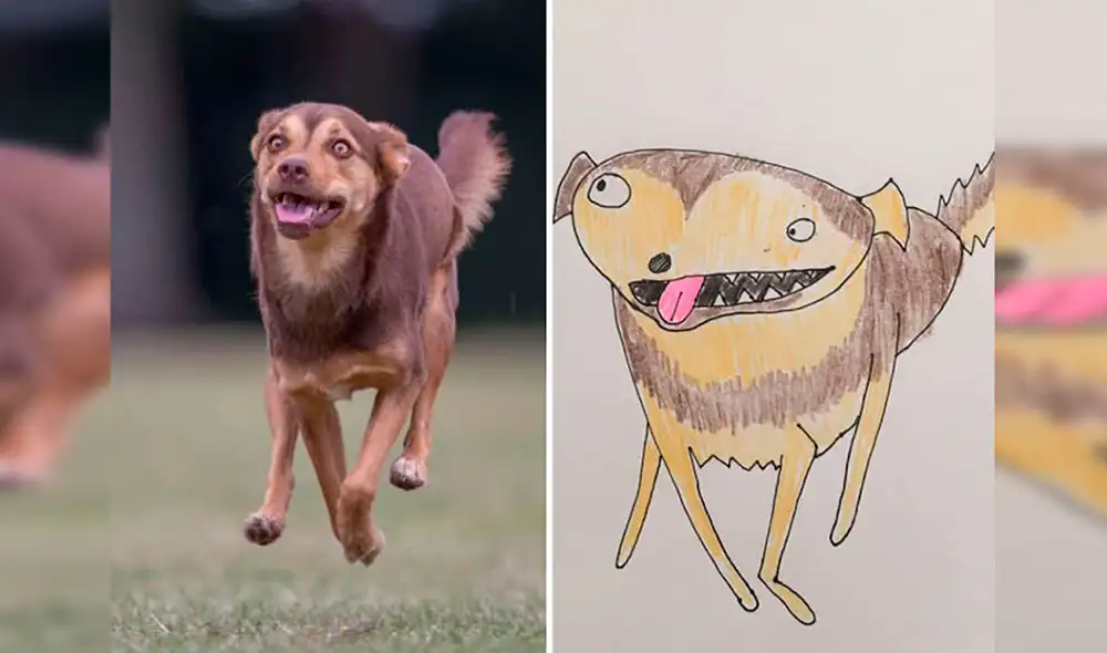 Desliza las imágenes hacia la izquierda para apreciar los dibujos de animales realizados por un joven. Fotos: Pet Portraits By Hercule.