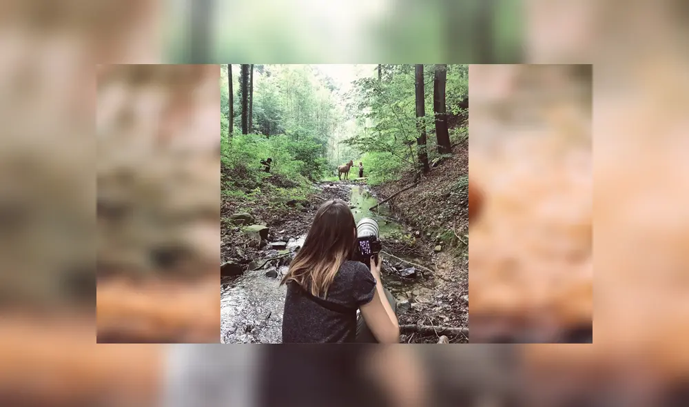 Desliza para ver al híbrido que sorprendió a todos en YouTube. Foto: Carina Maiwald. Desliza para ver al híbrido que sorprendió a todos en YouTube. Foto: Carina Maiwald.