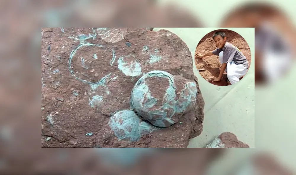 Huevos de dinosaurio - China Huevos de dinosaurio - China