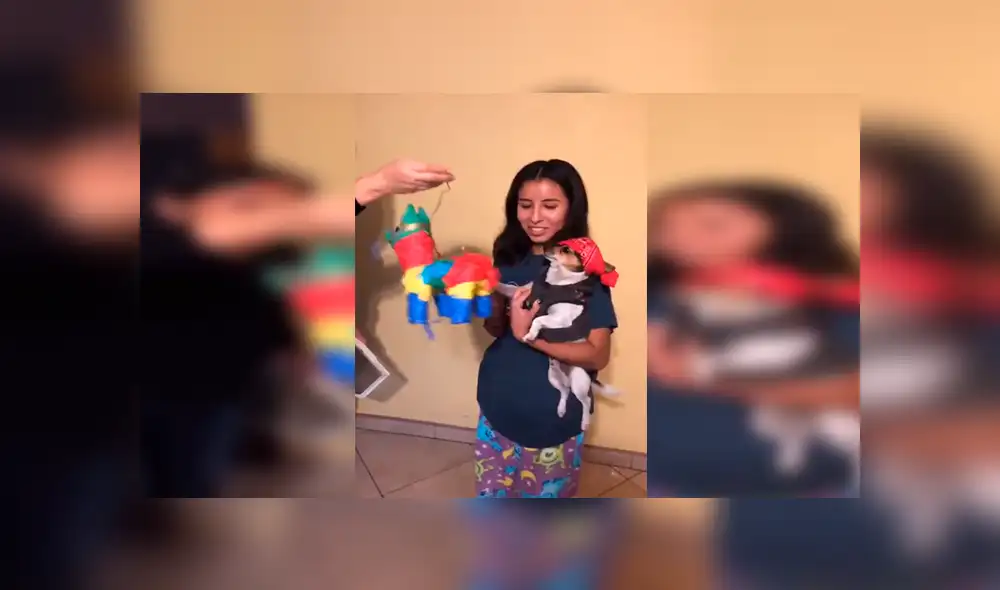 En YouTube, una joven organizó una fiesta en su casa para festejar el día especial de su querida mascota. En YouTube, una joven organizó una fiesta en su casa para festejar el día especial de su querida mascota.