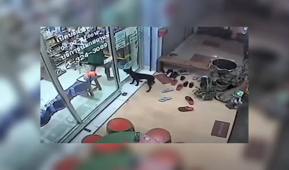 Desliza hacia la izquierda para ver más del video viral. Fotocaptura: YouTube