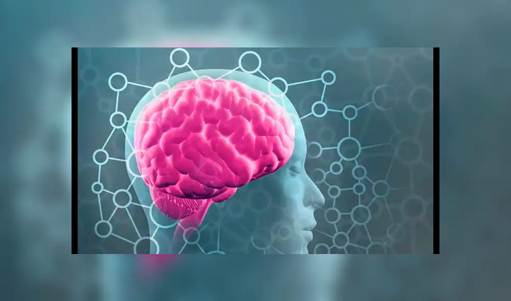 Casi 100 niños mueren por virus que ataca al cerebro en India 