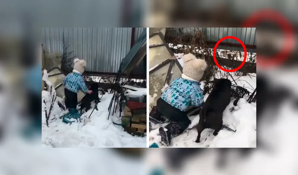 Desliza las imágenes hacia la izquierda para apreciar la tierna escena protagonizada por un pequeño junto a su perro.