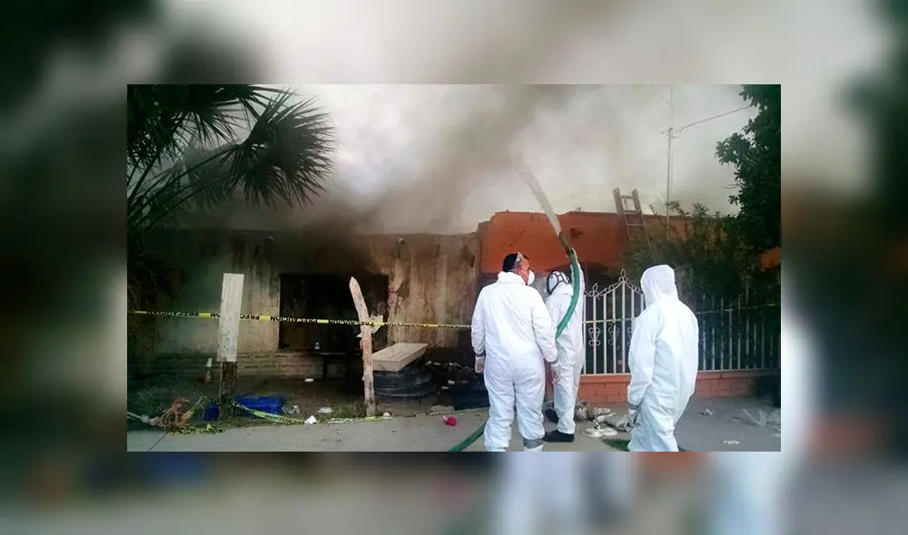 Familia muere tras ser picada por garrapatas y adquirir extraña enfermedad