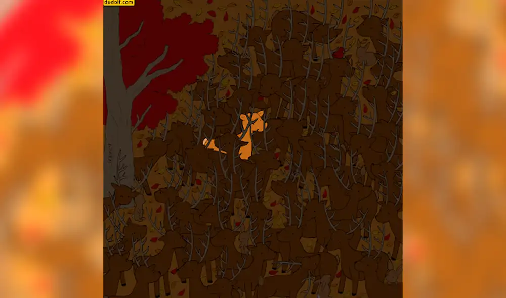 Solo cuentas con 20 segundos para superar con éxito este juego. Foto: Dudolf.com Solo cuentas con 20 segundos para superar con éxito este juego. Foto: Dudolf.com