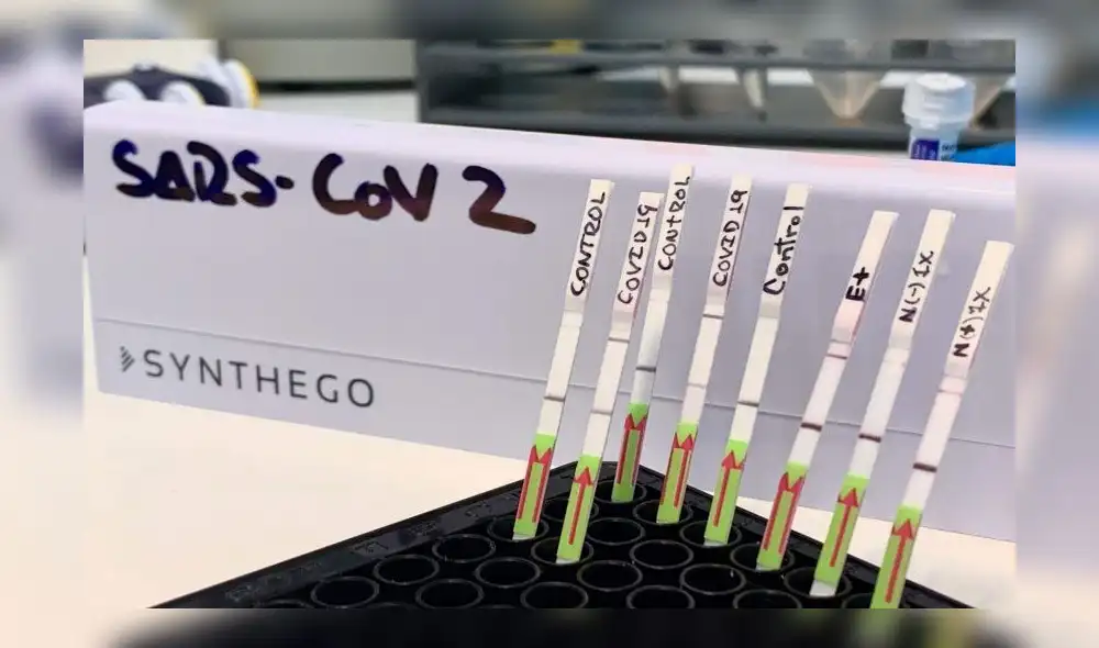 Pruebas moleculares rápidas serán más baratas y certeras. Créditos: EFE.