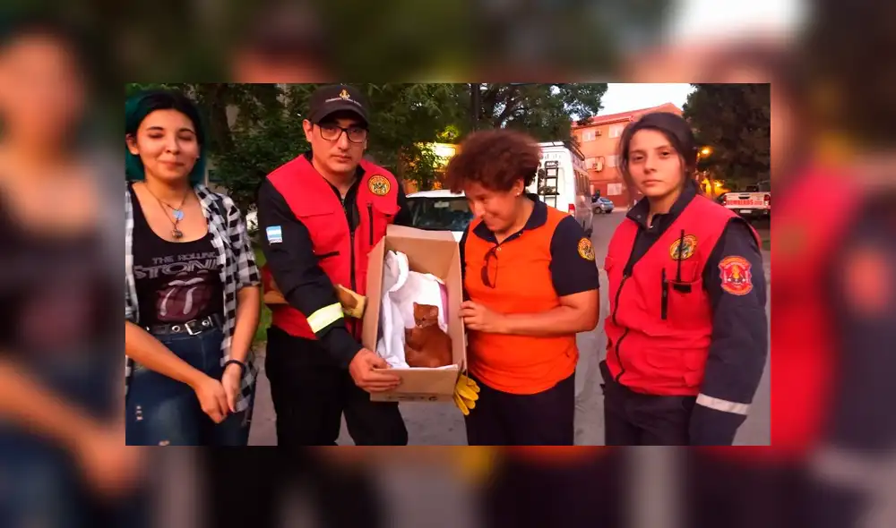 Desliza para ver las imágenes más tiernas de la historia que se hizo viral en Facebook. Desliza para ver las imágenes más tiernas de la historia que se hizo viral en Facebook.