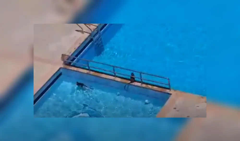 Desliza hacia la izquierda para ver más del video viral.