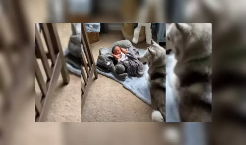 Desliza hacia la izquierda para ver más del video viral. Desliza hacia la izquierda para ver más del video viral.