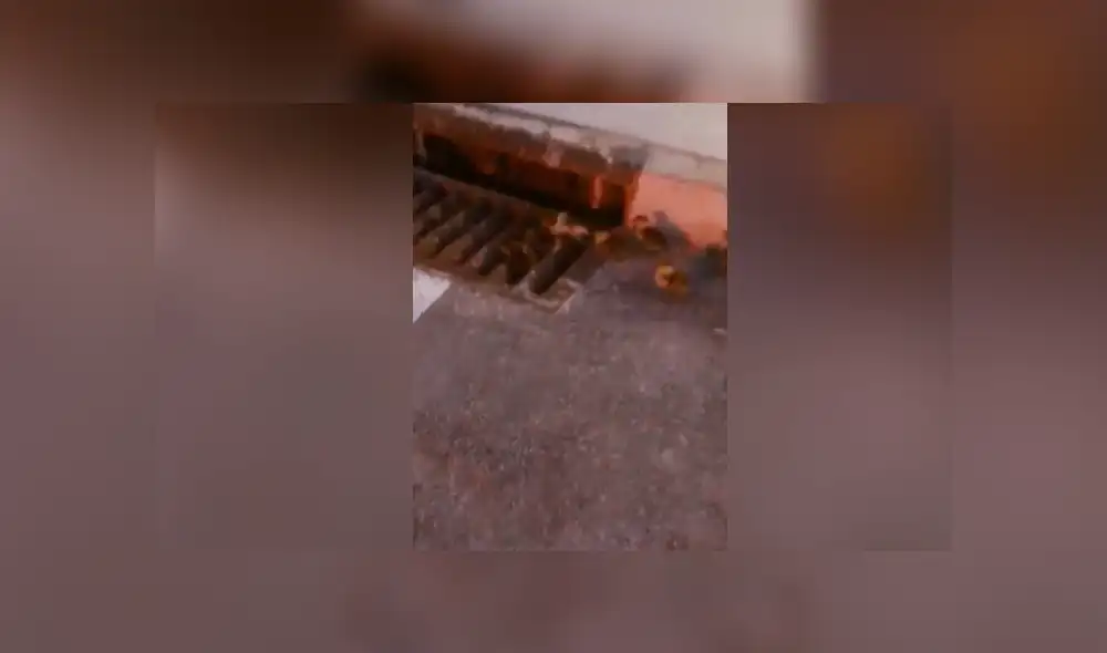 Desliza para ver las imágenes del video de YouTube. Foto: captura Desliza para ver las imágenes del video de YouTube. Foto: captura