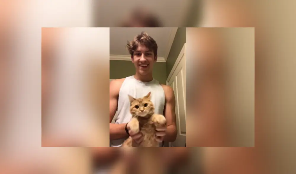 Desliza a la izquierda para conocer más sobre este nuevo video viral de TikTok. Foto: Captura.