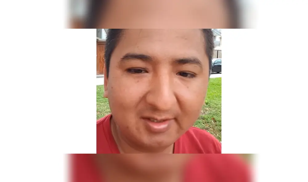 Google Translate: 'Tapir 590' es la nueva victima del traductor por los resultados que dejaron en shock a miles [FOTOS]