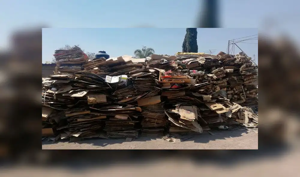 Familia se hacía pasar por acumuladores de basura, pero eran peligrosos narcotraficantes