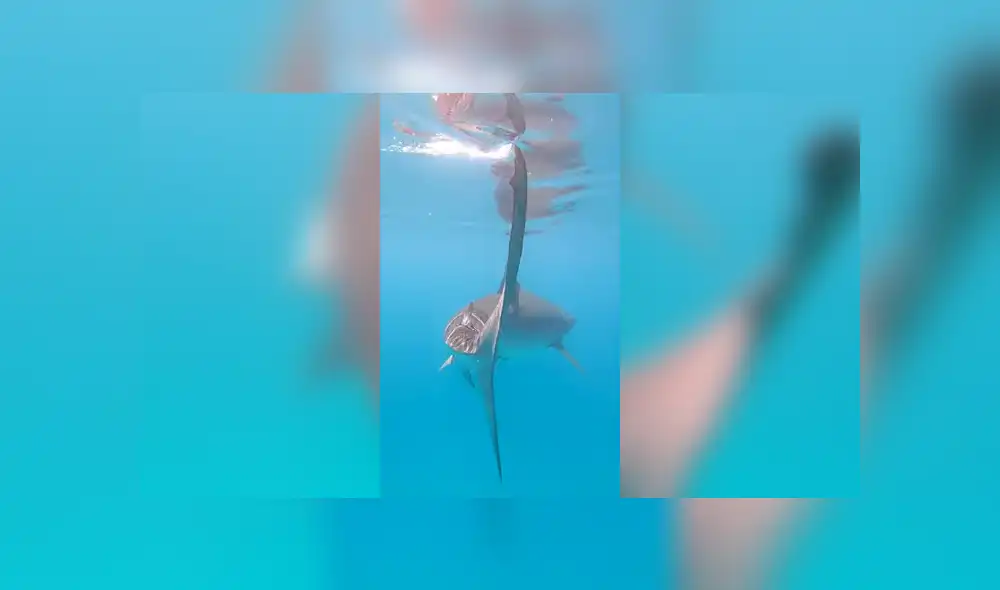 Desliza para ver los detalles del video viral publicado en YouTube. Foto: Captura.