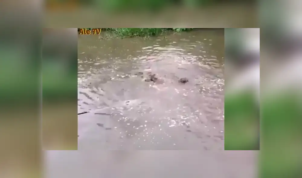 YouTube viral: misterioso lago fue visitado por pescador que arrojó sus redes y atrapó esto [VIDEO]