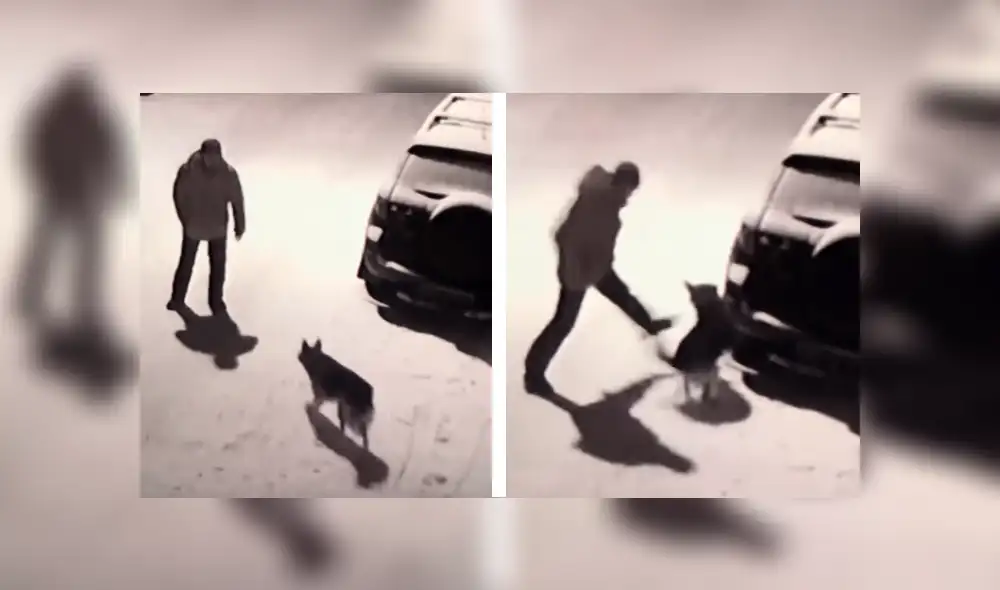 YouTube viral: hombre ebrio agredió a indefenso perro y karma le dio un terrible merecido [VIDEO]