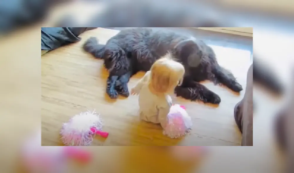 Desliza las imágenes para ver más detalles sobre este tierna escena.