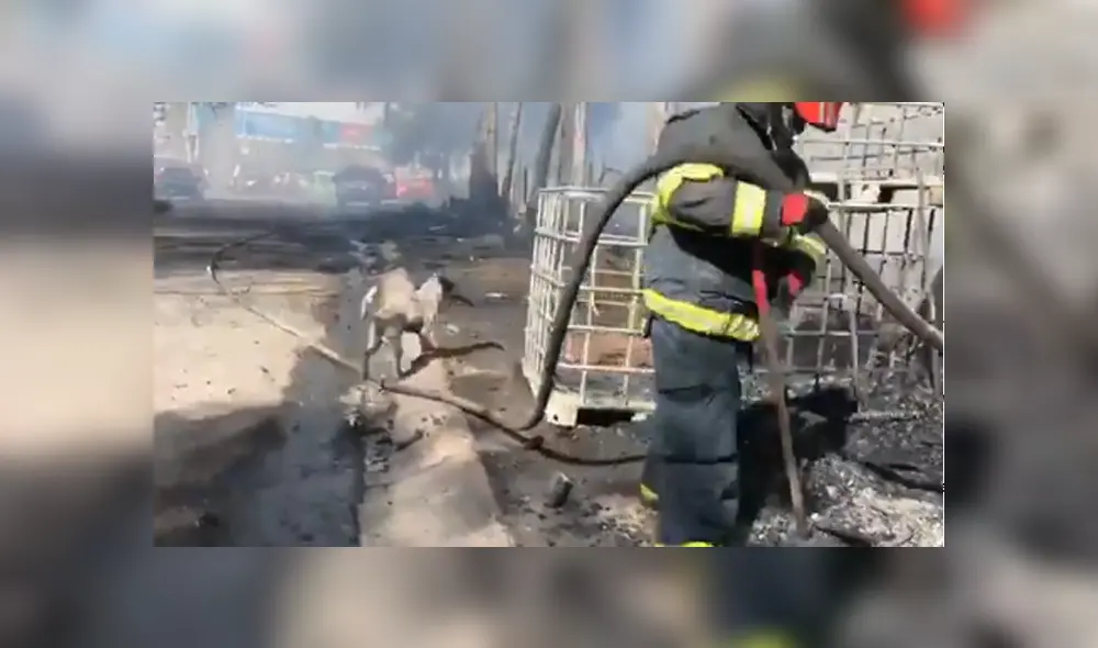 Desliza para conocer detalles del video viral de Facebook. Foto: Captura.