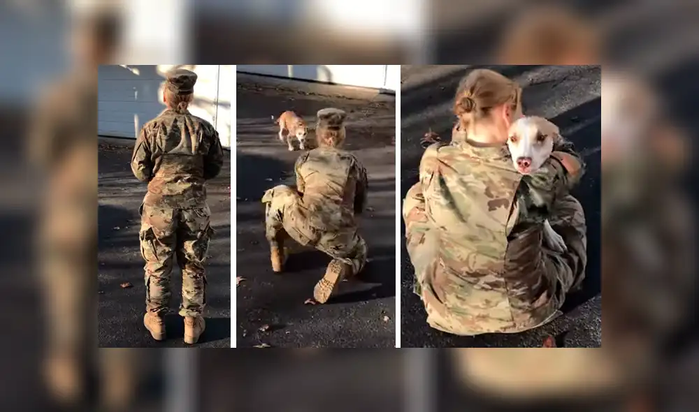 El can no reconocía a su dueña al verla después de tiempo, pero su conducta cambió cuando tuvo contacto con ella. El emotivo reencuentro se hizo viral en YouTube. El can no reconocía a su dueña al verla después de tiempo, pero su conducta cambió cuando tuvo contacto con ella. El emotivo reencuentro se hizo viral en YouTube.