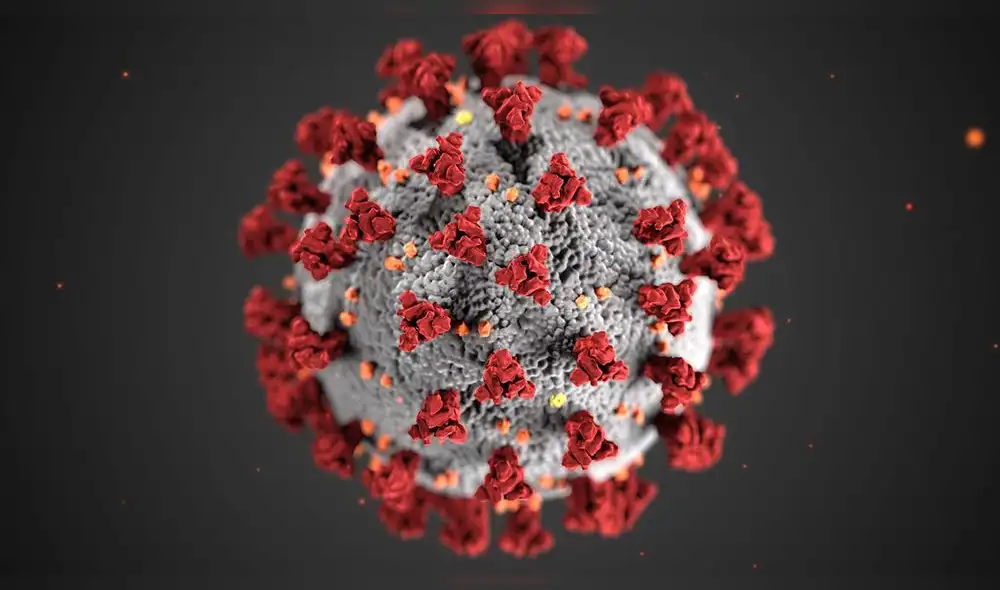 coronavirus