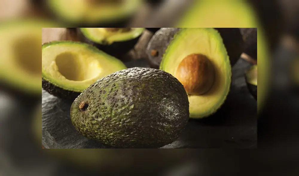 Palta Hass de Perú conquista Europa con el más alto volumen de exportación del fruto al continente. Foto: Mincetur.