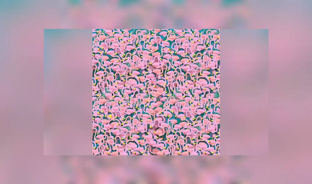 Desliza a la izquierda para conocer más sobre este nuevo reto visual de Facebook. Foto: Captura. Desliza a la izquierda para conocer más sobre este nuevo reto visual de Facebook. Foto: Captura.