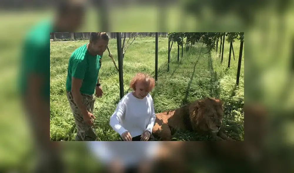 YouTube viral: Anciana detiene el carro de safari para tomarse selfie con leones y sucede lo impensado [VIDEO]