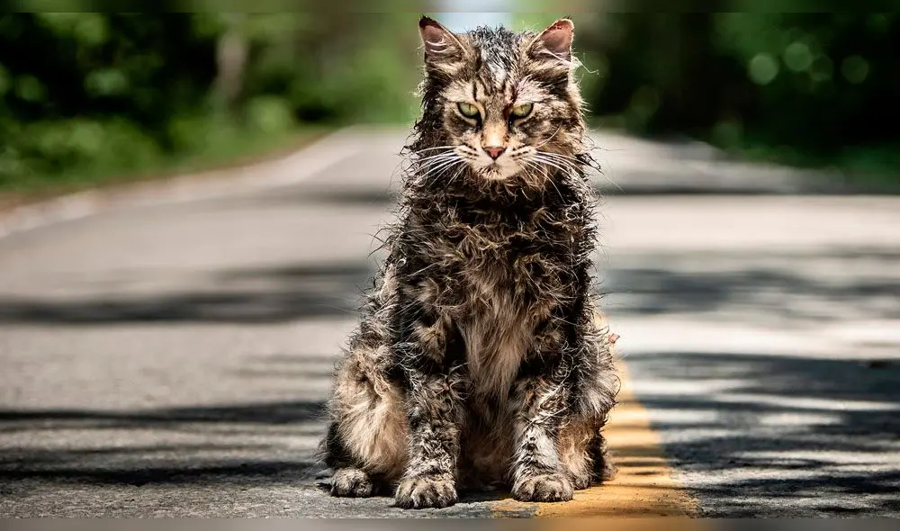 Cementerio de Mascotas: lanzan aterrador póster del remake [FOTO]