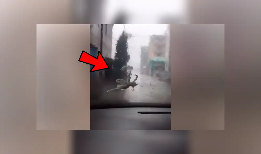 Facebook viral: misteriosa ‘criatura’ aparece mientras hombre conduce vehículo y por poco ocasiona accidente