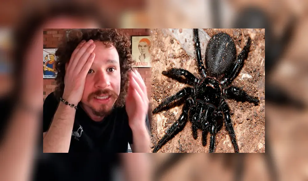 Luisito Comunica paga 80 soles por comer enorme tarántula venenosa, sin imaginar lo que pasaría.